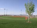 henderson01